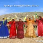 Iran Nomad wedding dance