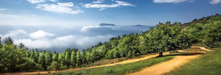 Iran Tourism News - iran unesco heritage site