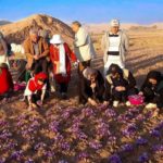 iran-saffron-tour