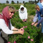 kashan tour by Letsvisitpersia