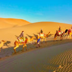varzaneh desert camel riding