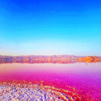 Maharlu Pink Lake Tour