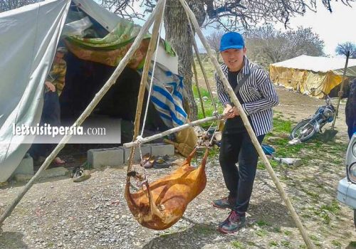 Shiraz Nomad Tours