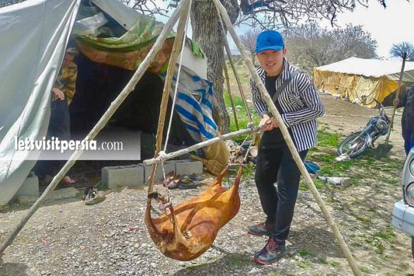 Shiraz Nomad Tours