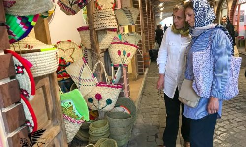 Visit Iran in 10 Days