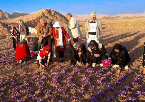 iran-saffron-tour
