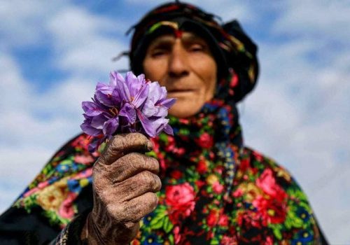 iranian-saffron-farm-tour